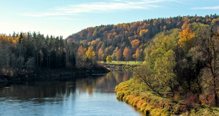 Ruhiger Fluss, der sich durch einen Herbstwald mit buntem Laub auf sanften Hügeln schlängelt.