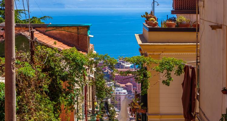 Ruelle pittoresque bordée de vignes menant à une vue sur la mer d'un bleu éclatant sur la côte de Sorrente.