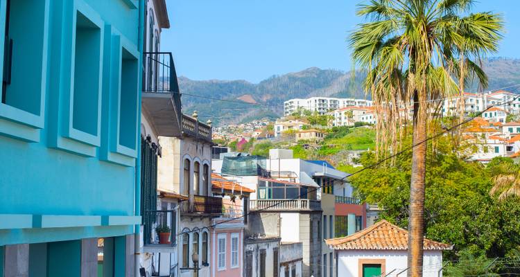 Rue urbaine colorée avec palmier et chaîne de montagnes en arrière-plan sous un ciel bleu dégagé.