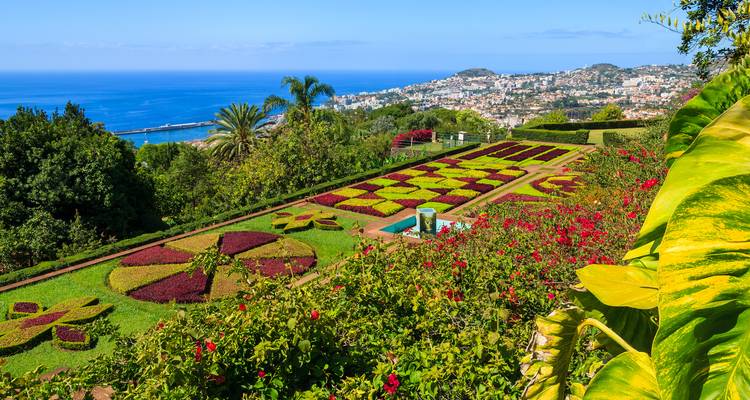 Vibrante jardín botánico en terrazas que ofrece vistas al océano Atlántico y a la ciudad abajo en un día soleado y despejado.