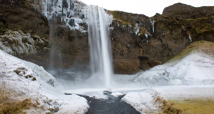 Eisiger Seljalandsfoss-Wasserfall, der über eine Klippe stürzt und von einer Winterlandschaft umgeben ist.