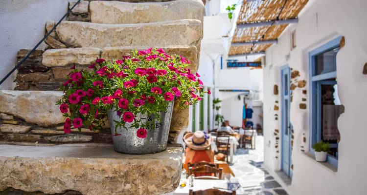 Ein Eimer mit leuchtend rosa Blumen schmückt eine steinerne Treppe in einer schmalen kykladischen Gasse.