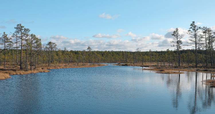 Lac entouré de forêt avec un ciel bleu clair.