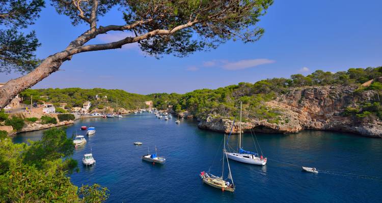 Narrow blue inlet dotted with sailboats nestled between forested cliffs under clear skies