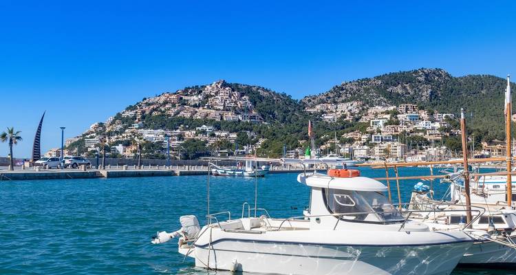 Marina pittoresque avec bateaux et résidences à flanc de colline.