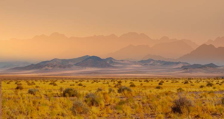 Vast savannah landscape with mountains in the distance at sunset.