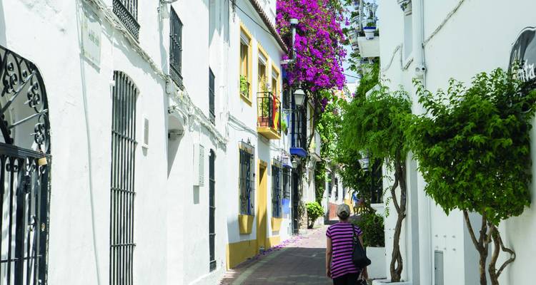 Eine schmale Straße mit weißen Gebäuden, die mit leuchtenden Blumen geschmückt sind.