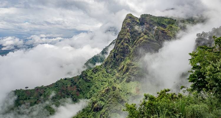 Neblige Berglandschaft mit üppiger Vegetation.