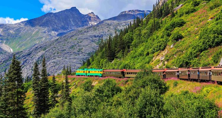 Zug, der durch eine üppige Berglandschaft fährt.