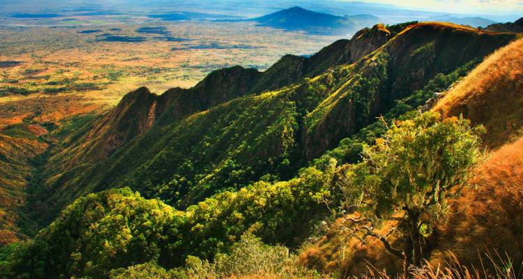 Aerial view of verdant mountain ranges and valleys.