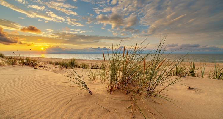 Stranddünen mit Gras vor einem Sonnenuntergangshimmel.