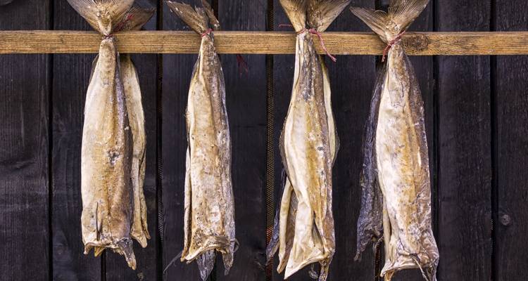 Reihen von ganzen getrockneten Fischen, die mit Schnur zusammengebunden sind, hängen von einem Holzbalken vor einer dunklen Holzwand herab.