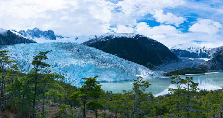 Panoramisch uitzicht op een helder blauwe gletsjer die afdaalt naar een turkooise fjord omgeven door sneeuwbedekte toppen en bos