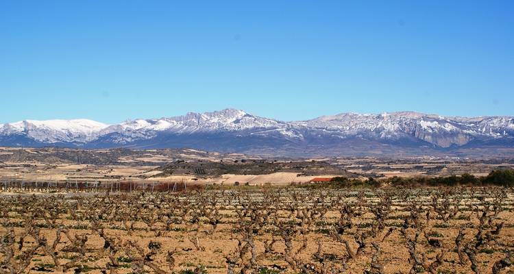 Mountain landscape with vineyards in the foreground.