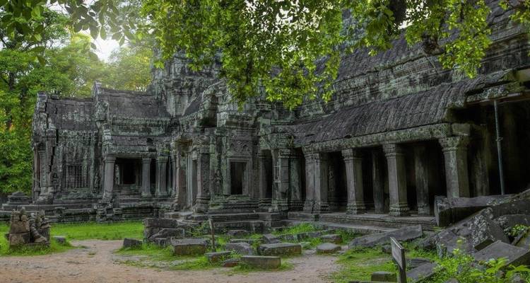 Ancient stone temple ruins covered in moss and framed by lush green trees in the Angkor complex.