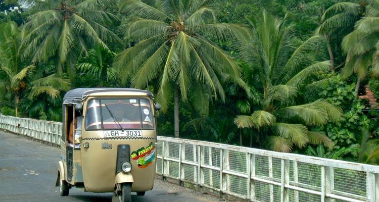 Een driewielige tuk tuk die over een brug rijdt met palmbomen op de achtergrond.