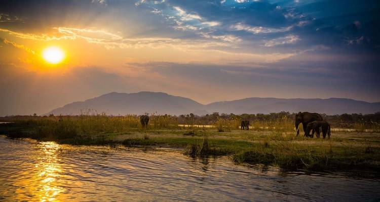 Olifanten die grazen bij een rivier bij zonsondergang.