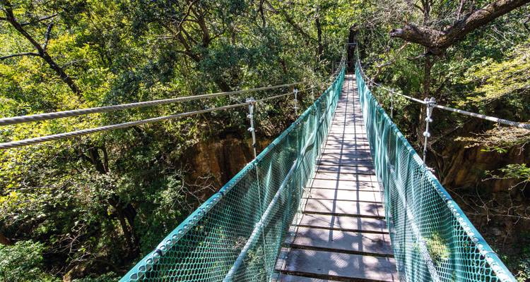 Pont suspendu étroit en métal menant vers un canyon forestier ombragé.
