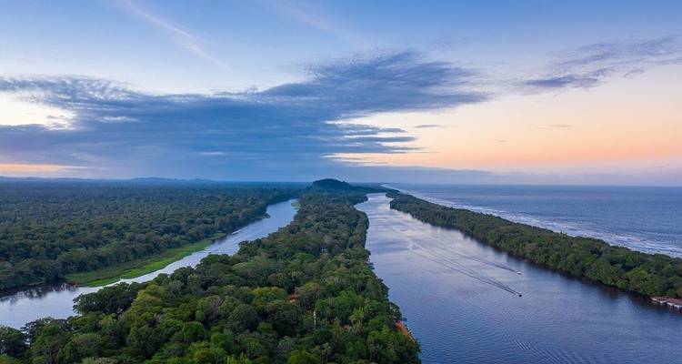 Vue aérienne du parc national de Tortuguero avec des forêts denses et une rivière.