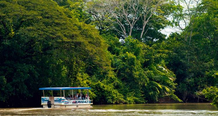 Un bateau à moteur couvert transportant des touristes glisse le long d'une rivière de jungle bordée d'une forêt tropicale dense et verdoyante.