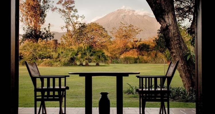 Malerische Aussicht auf einen Garten mit einem Berg in der Ferne.
