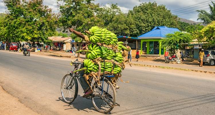 Personne à vélo transportant des bananes.