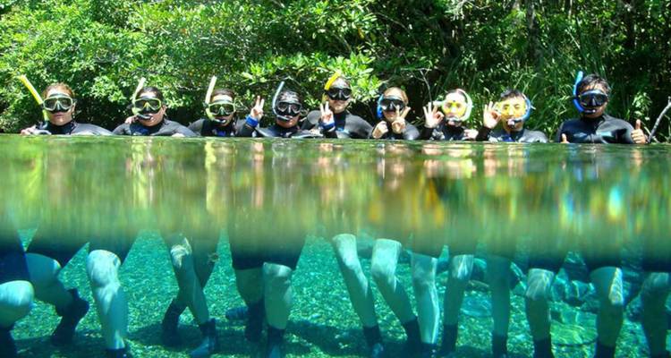 Groupe de plongeurs en apnée agitant la main depuis une eau cristalline, vue partiellement immergée montrant leurs jambes en dessous.