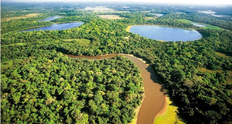 Panorama aérien expansif de forêt tropicale luxuriante, de fleuve brun sinueux et de lagons bleus circulaires.