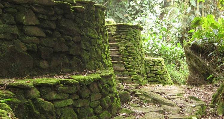 Oude, mosbegroeid stenen terrassen en trappen diep in de Colombiaanse jungle.