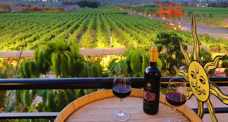 Malerischer Weinberg mit einer Weinflasche und zwei Gläsern auf einem Tisch.