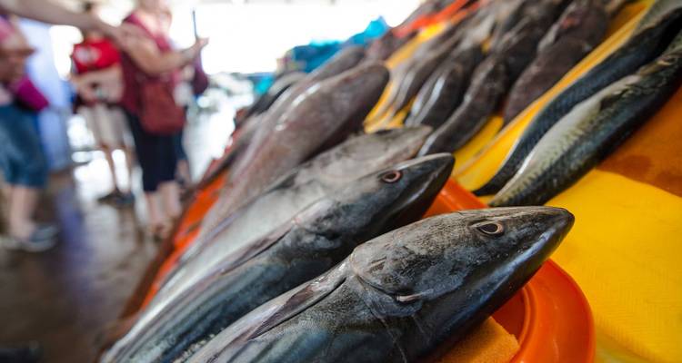 Market stall with rows of fresh fish displayed.