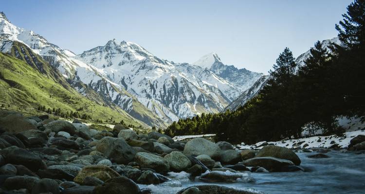 Snow-capped Himalayan peaks tower above a rocky riverbed and pine forest.