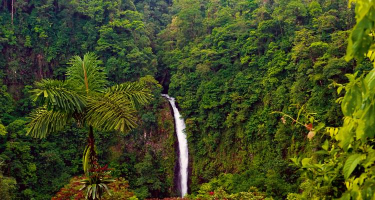 Una cascada alta y estrecha que se precipita hacia un cañón verde profundo rodeado de frondosa vegetación de selva tropical.