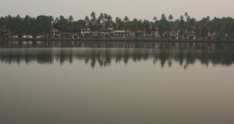 Een serene blik op palmbomen en huizen die weerspiegelen op een kalm water.