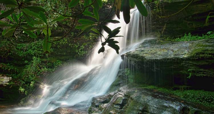 Een serene waterval omgeven door rotsen en groen.