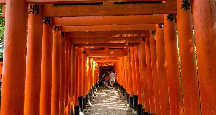 Serie de puertas torii rojas que forman un túnel con personas caminando a través.