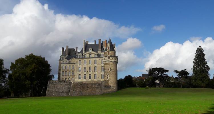 Un château sur un champ herbeux sous un ciel bleu.