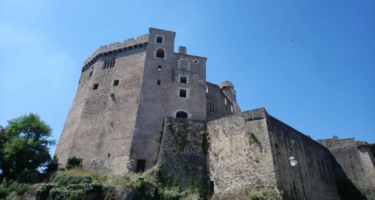Vestiges de château médiéval sous un ciel bleu dégagé