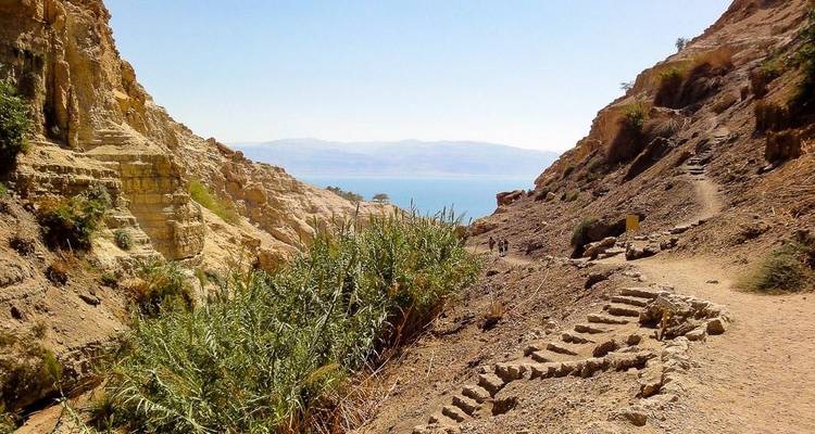 Natürlicher Landschaftspfad, der zu einem großen Gewässer führt.