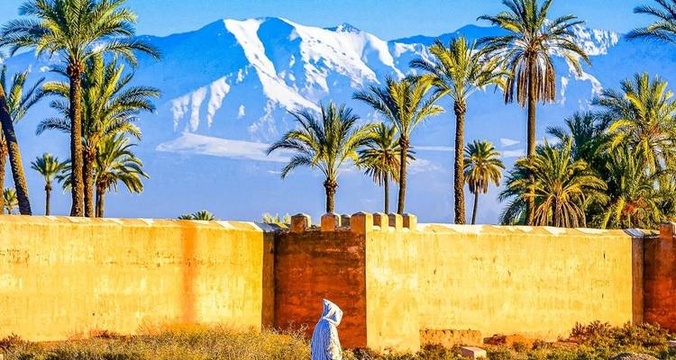Malerische Aussicht mit Palmen und schneebedeckten Bergen in Marrakesch.