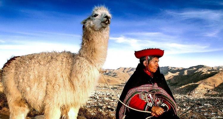 Person mit einem Lama, die eine Bergstadt überblickt