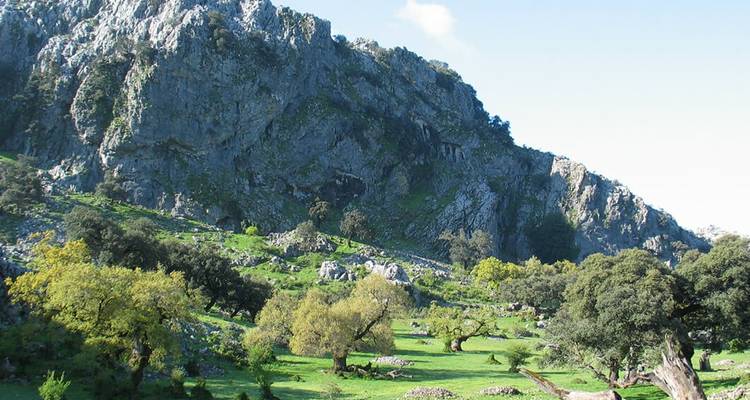 Un paysage verdoyant avec des falaises rocheuses et des arbres.