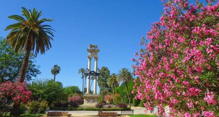 Park with palm trees and vibrant flowers surrounding a monument.