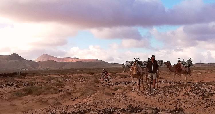 Man with loaded camels in a rocky desert landscape with distant mountains and a cyclist under a partly cloudy sky