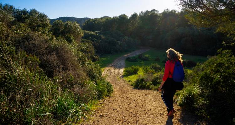 Personne qui descend un sentier de terre avec des arbres autour.