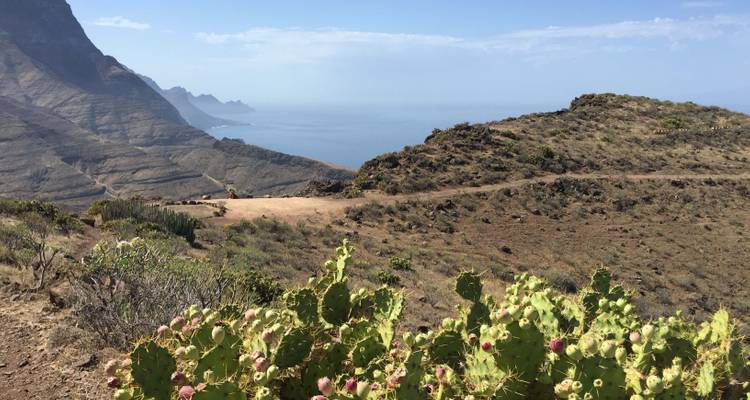 Paysage montagneux avec des cactus et une vue sur l'océan.