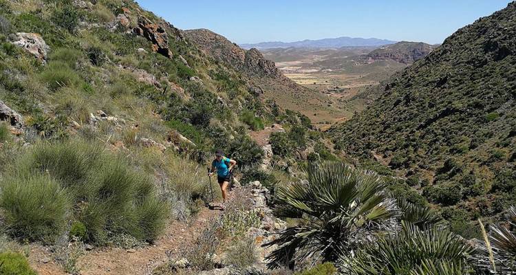 Randonneur sur un sentier escarpé entouré de végétation et de montagnes.