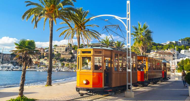 Tramway historique sur une promenade en bord de mer avec des palmiers.