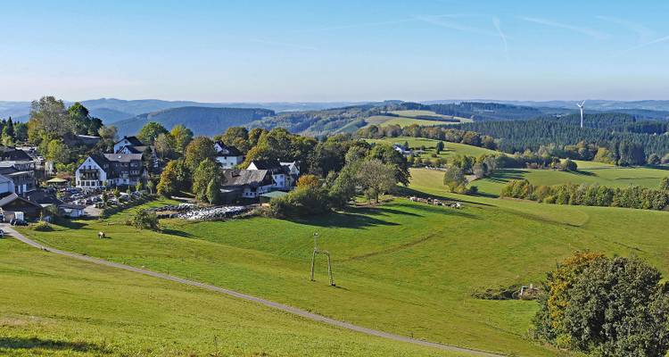 Paysage pastoral avec des collines ondulantes et un petit village.