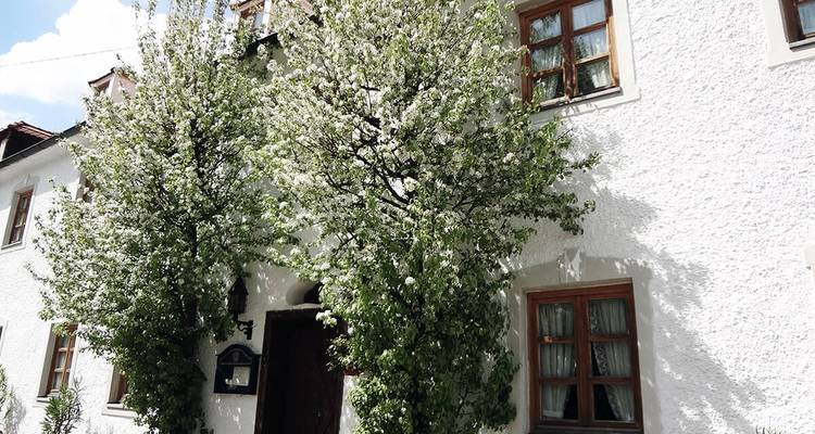 Maison blanche avec des arbres en fleurs.